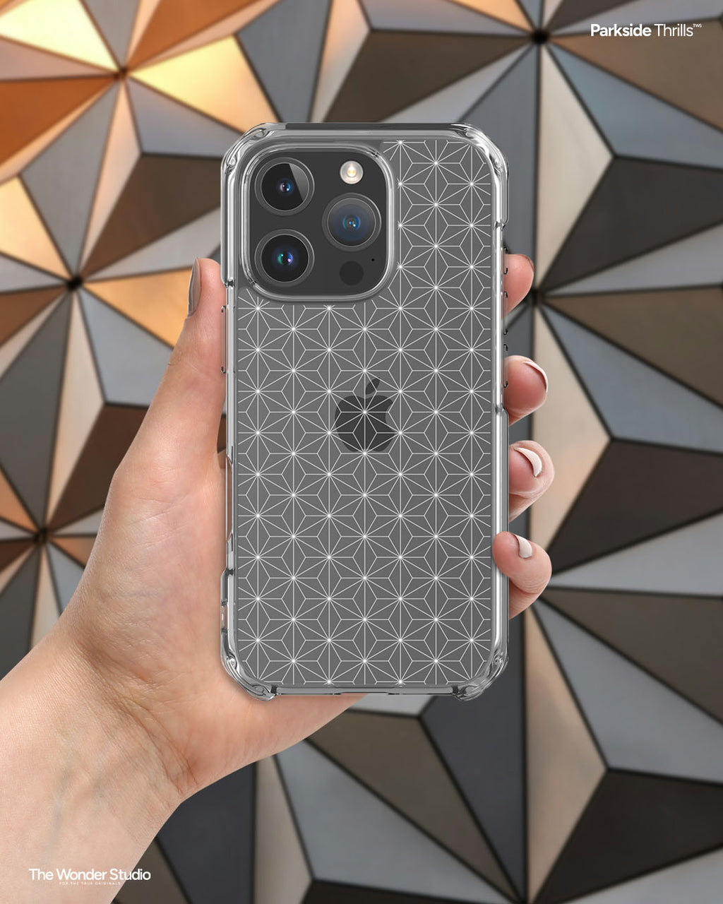 The Phoenicians Clear Case